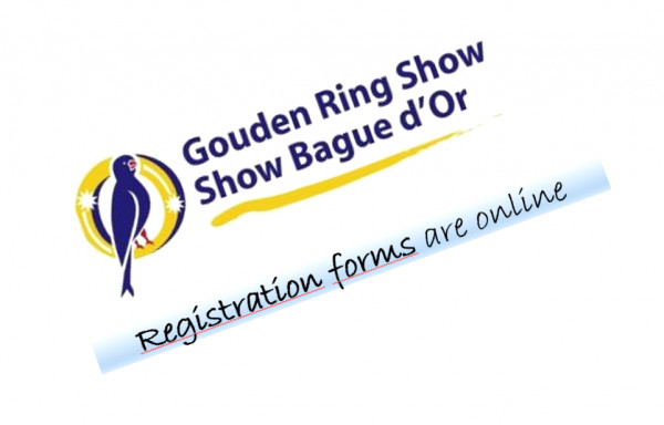 Registration forms online