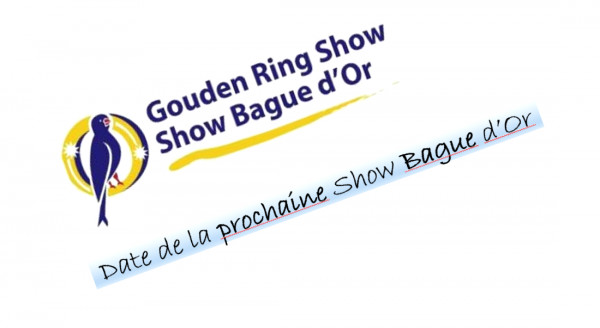 Prochain date du Show Bague d'Or