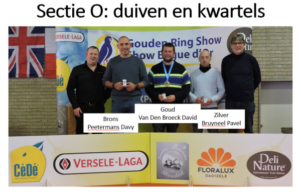 Gouden Ring Show