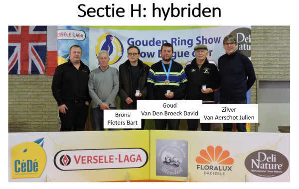 Gouden Ring Show