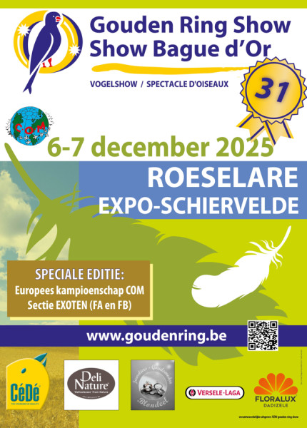 European Championship Exotics Birds