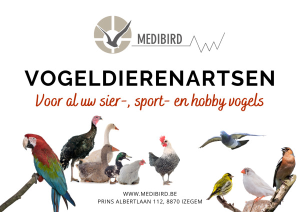 Medibird